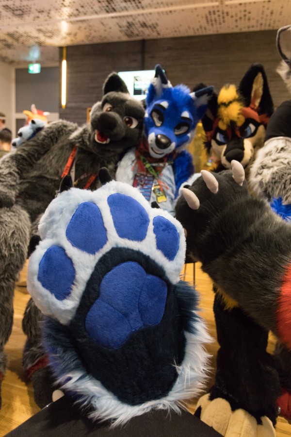 NordicFuzzCon 2023, Indoor photos