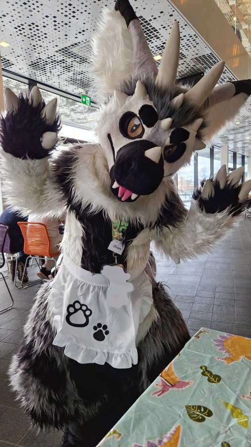 NordicFuzzCon 2023, Indoor photos