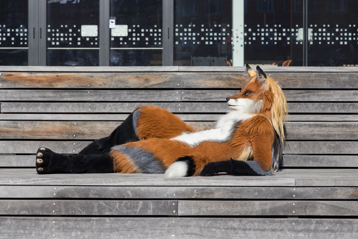 NordicFuzzCon 2023, Mini photoshoots