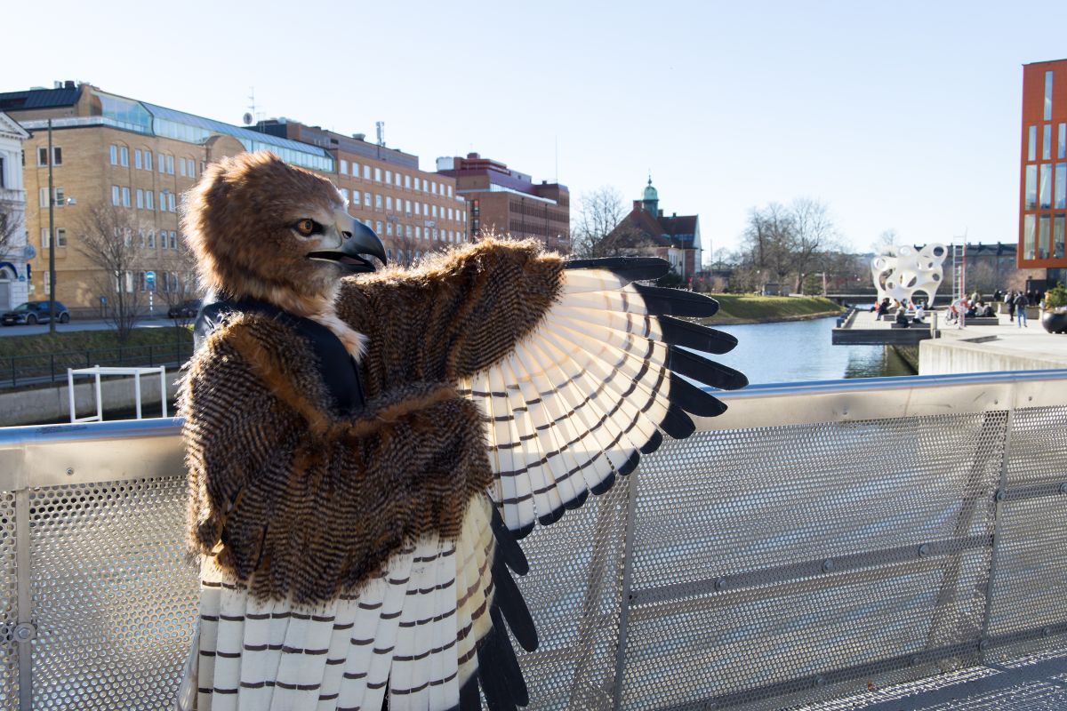 NordicFuzzCon 2023, Outdoor photos