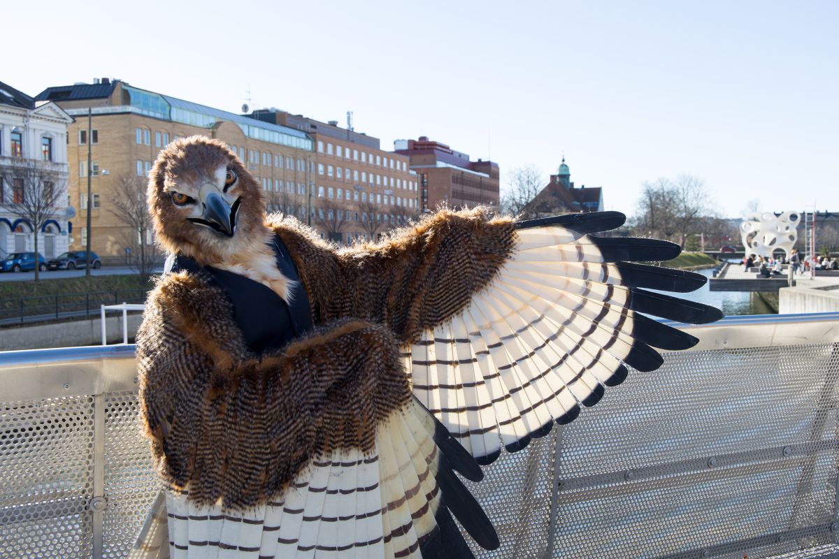 NordicFuzzCon 2023, Outdoor photos