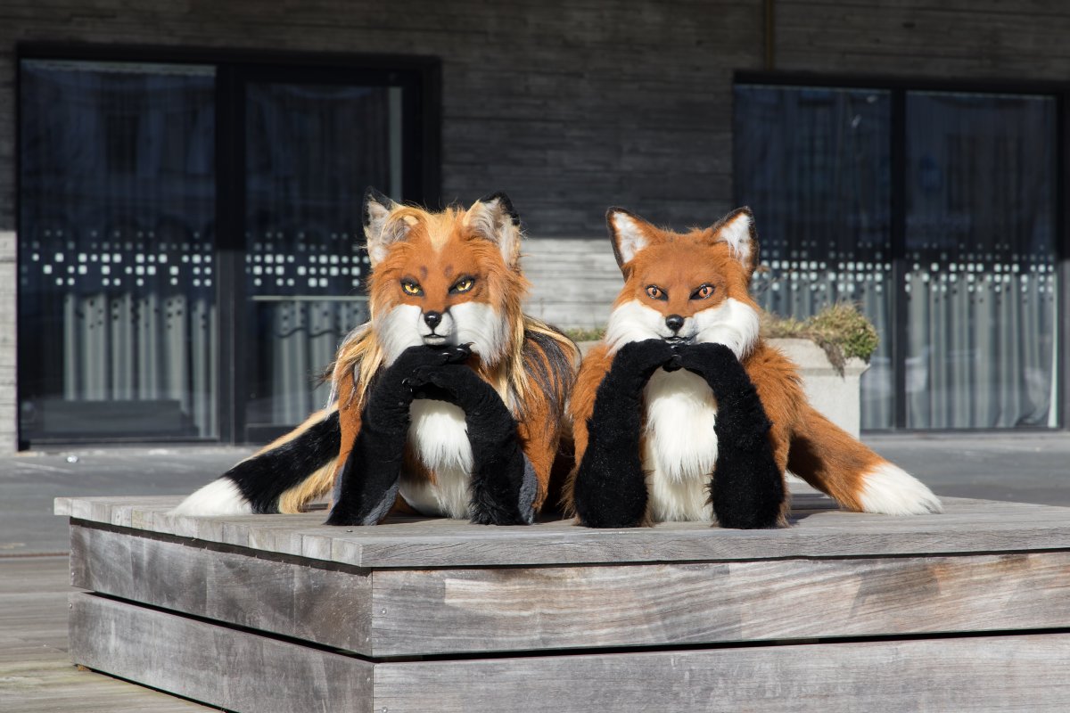 NordicFuzzCon 2023, Mini photoshoots