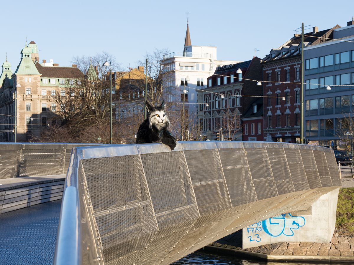 NordicFuzzCon 2023, Outdoor photos