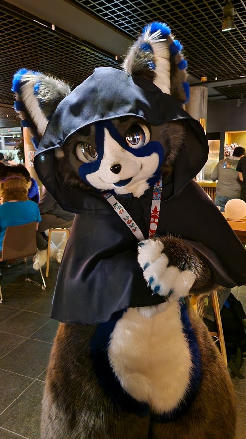 NordicFuzzCon 2023, Indoor photos