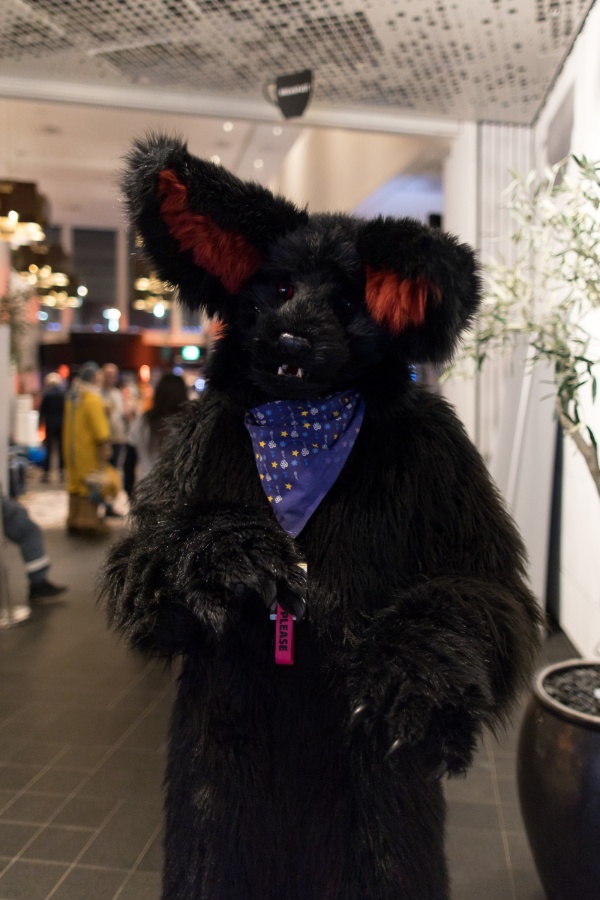 NordicFuzzCon 2023, Indoor photos