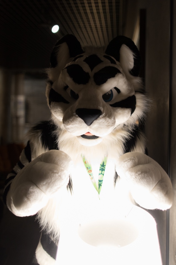 NordicFuzzCon 2023, Indoor photos