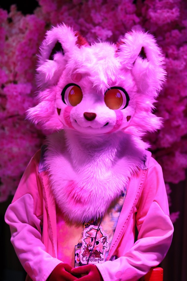 NordicFuzzCon 2025