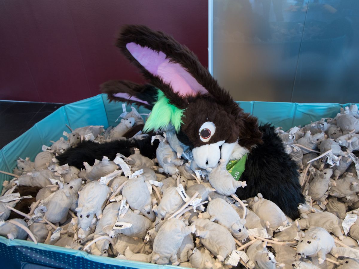 NordicFuzzCon 2025, Fursuits