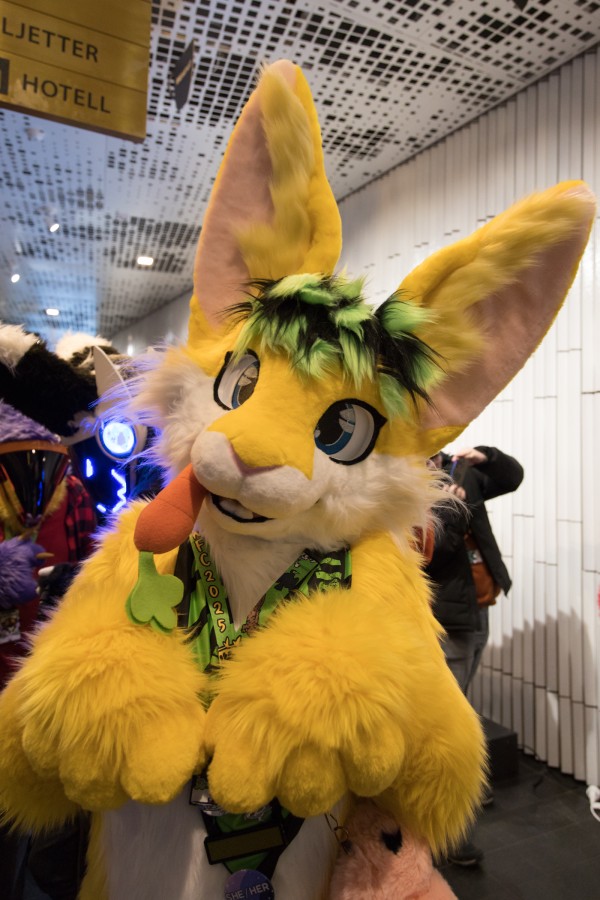 NordicFuzzCon 2025