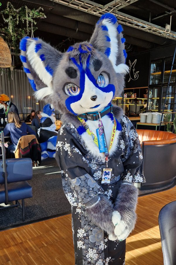 NordicFuzzCon 2025, Fursuits