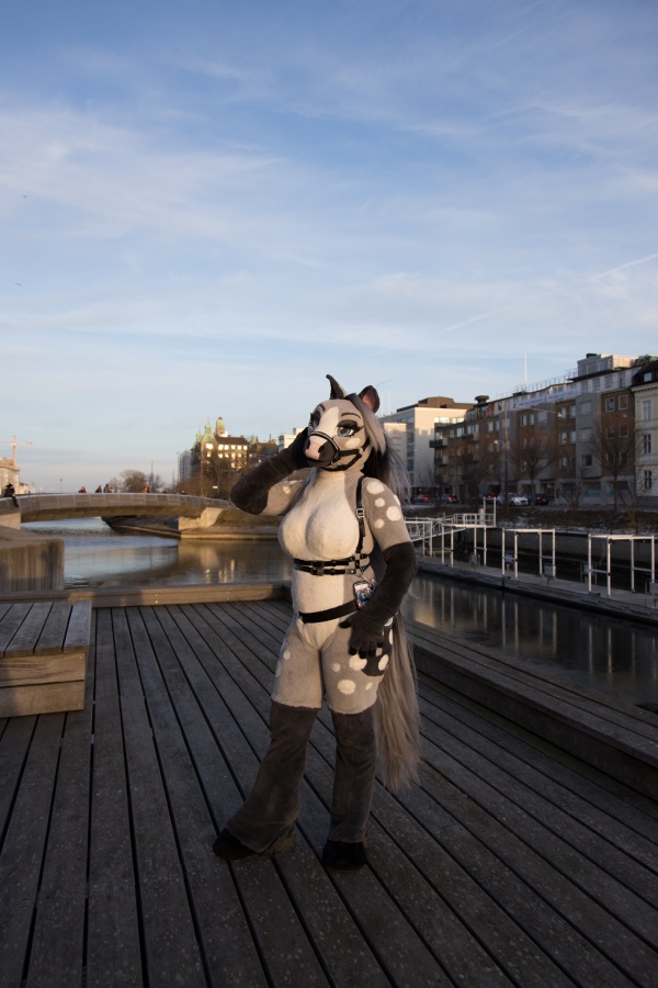NordicFuzzCon 2025, Photoshoots