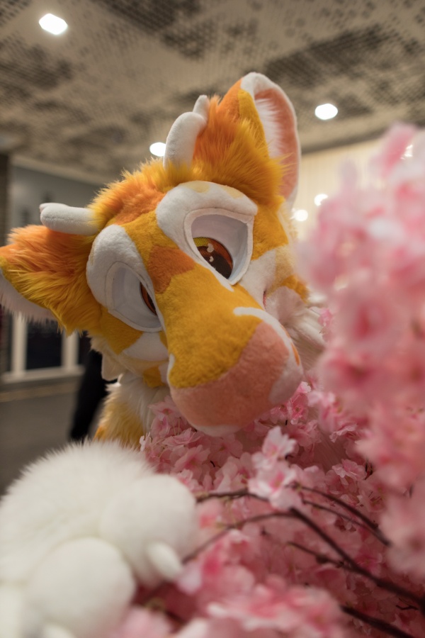 NordicFuzzCon 2025, Fursuits