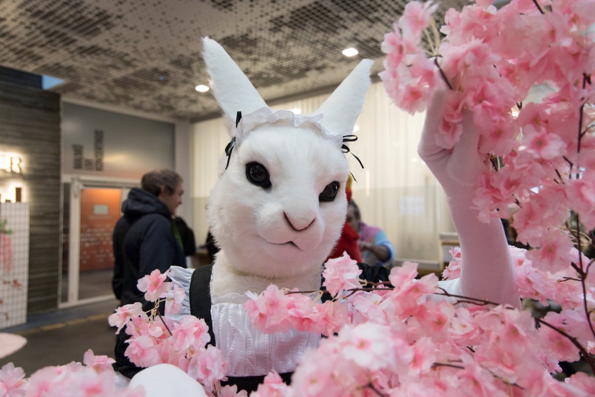 NordicFuzzCon 2025, Lumie bunny