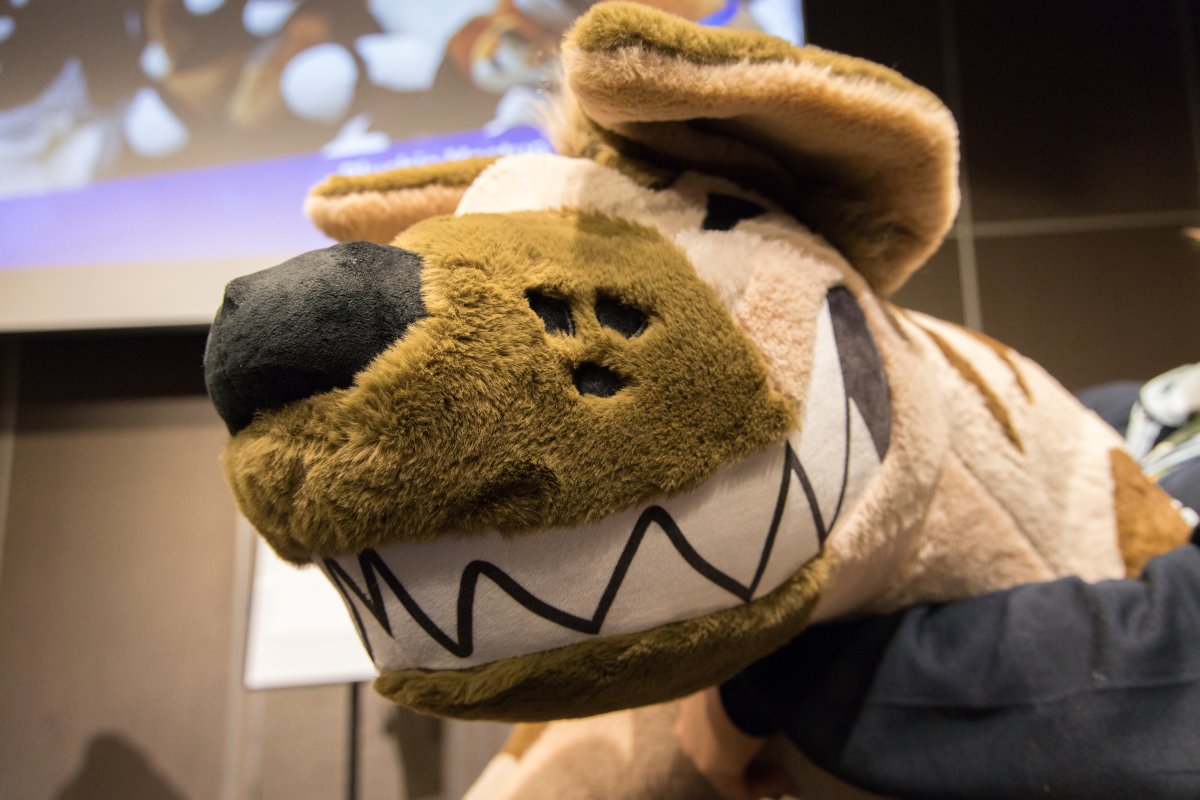 NordicFuzzCon 2025, Other photos