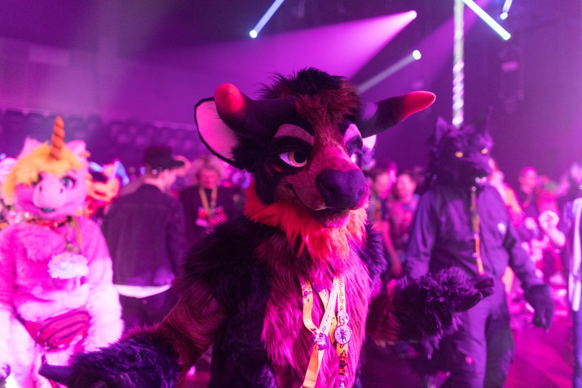 NordicFuzzCon 2025, Fursuits