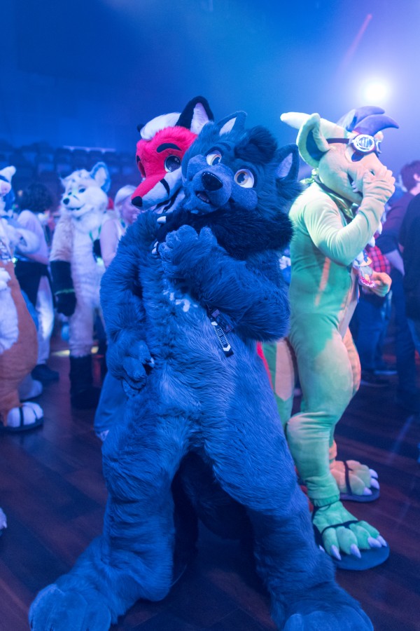 NordicFuzzCon 2025, Fursuits