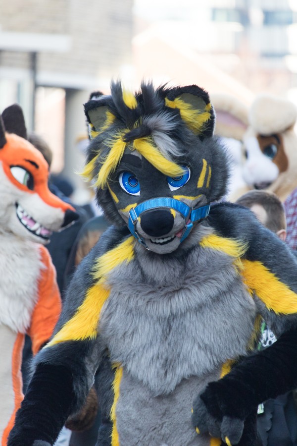 NordicFuzzCon 2025, Fursuit Parade