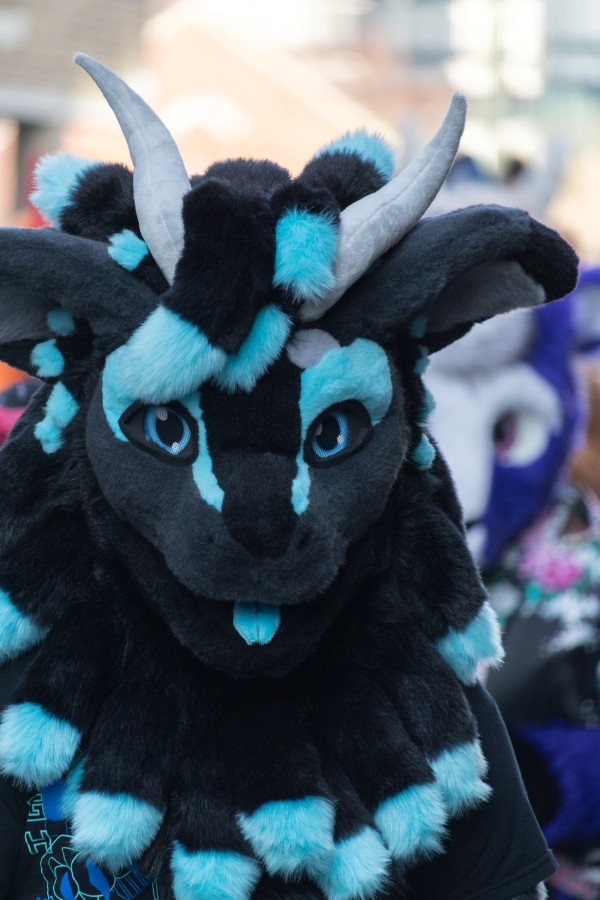 NordicFuzzCon 2025, Fursuit Parade