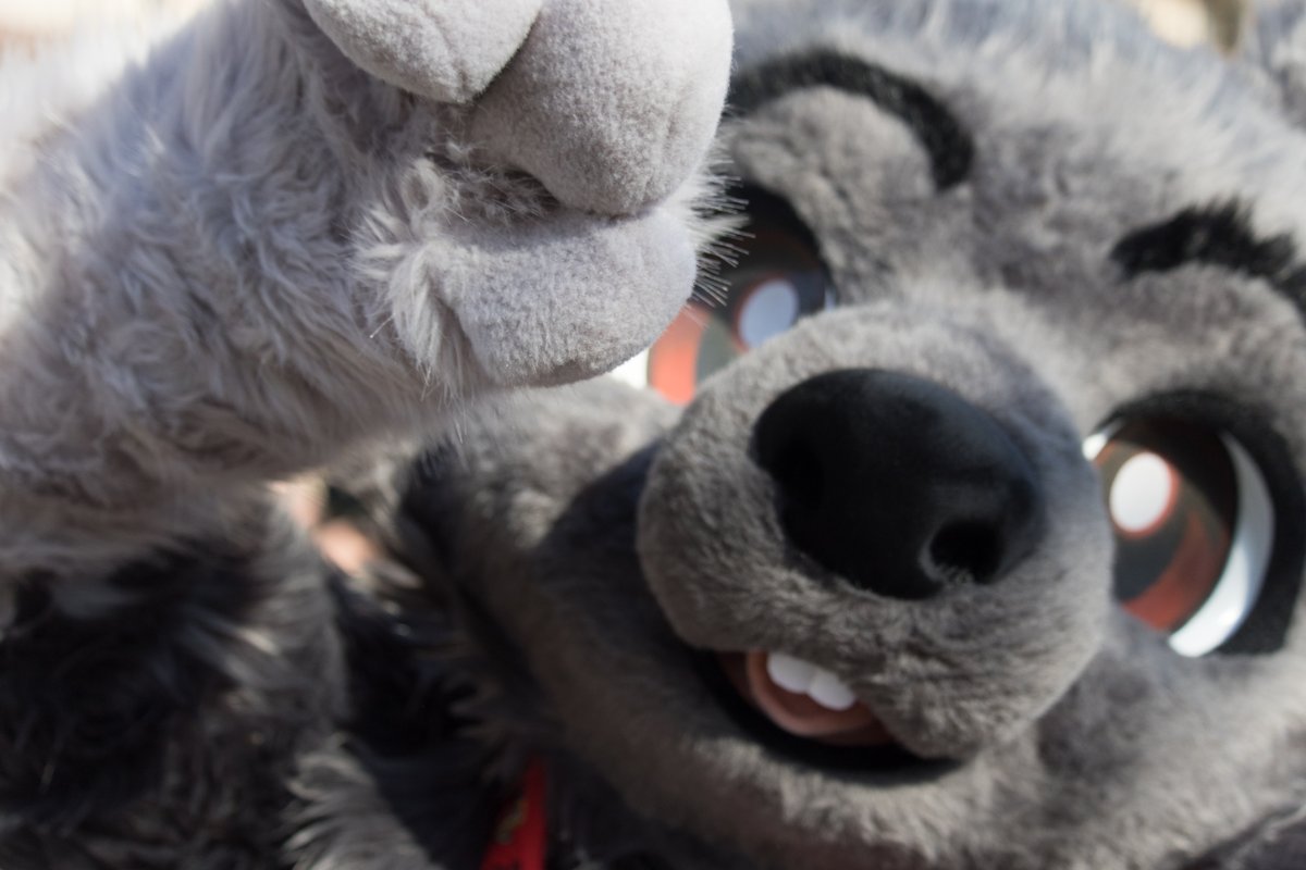 NordicFuzzCon 2025, Fursuit Parade