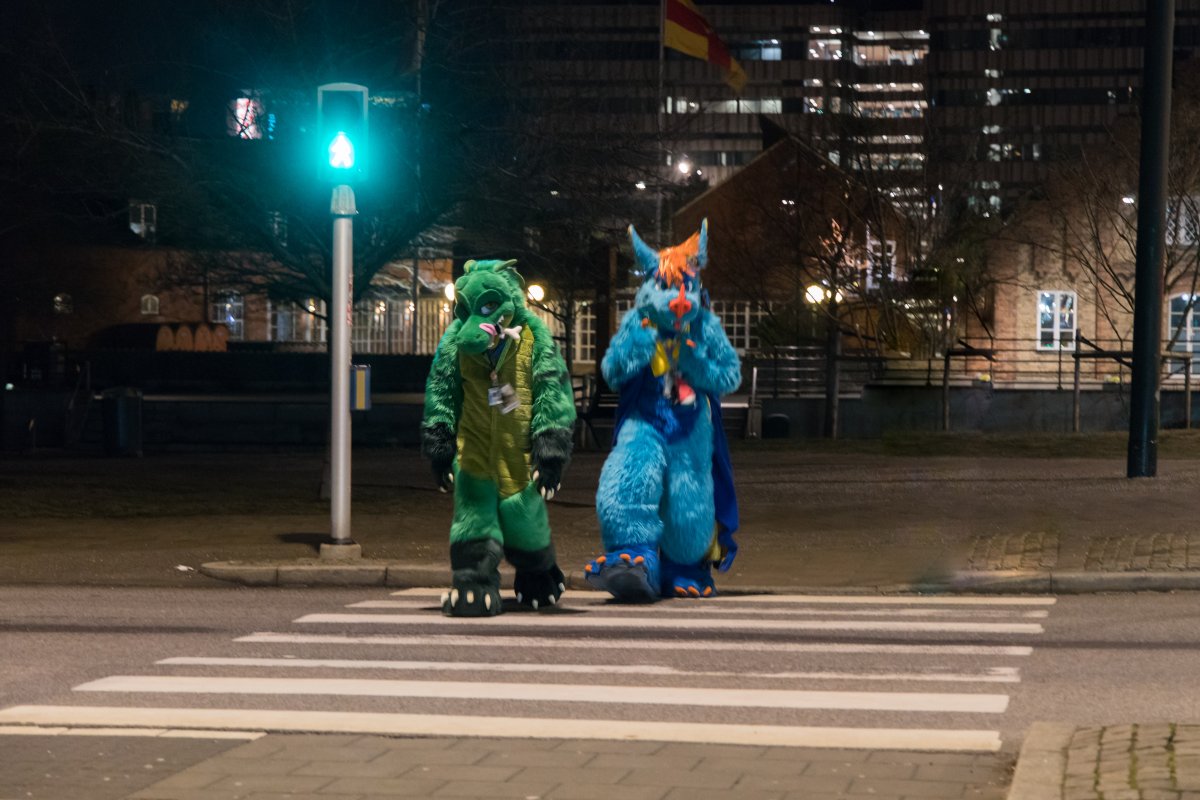 NordicFuzzCon 2025, Fursuits outdoors