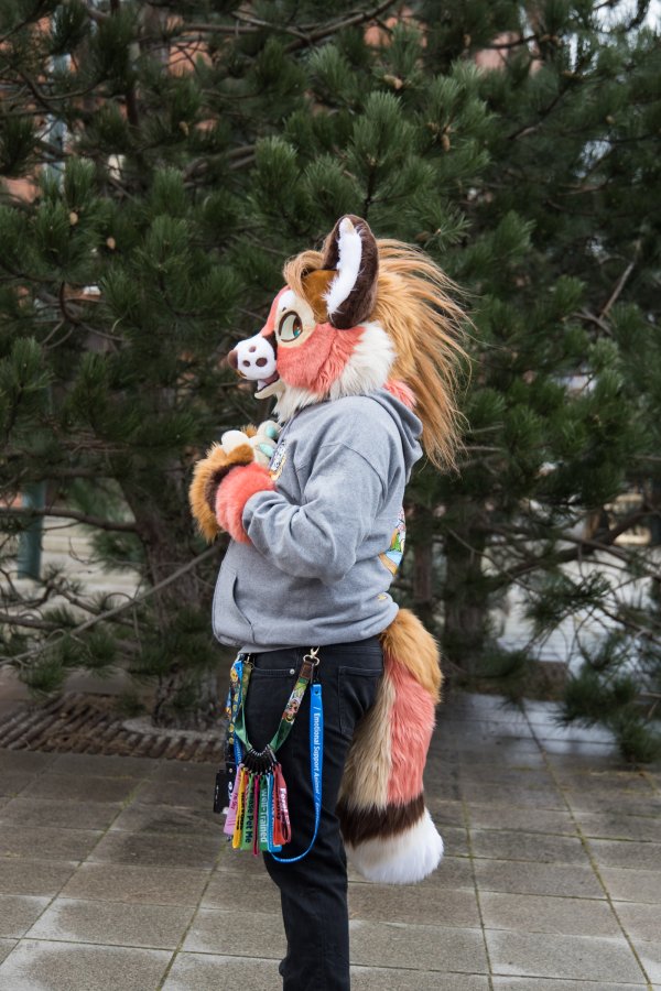 NordicFuzzCon 2025, Photoshoots