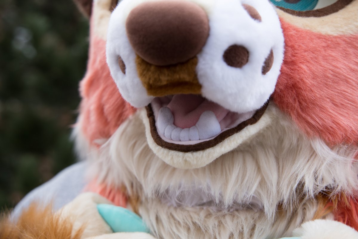 NordicFuzzCon 2025, Photoshoots