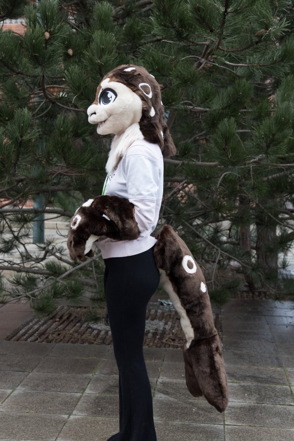 NordicFuzzCon 2025, Photoshoots