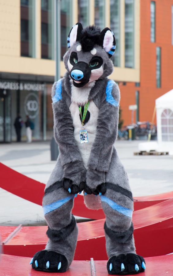 NordicFuzzCon 2025, Fursuits outdoors