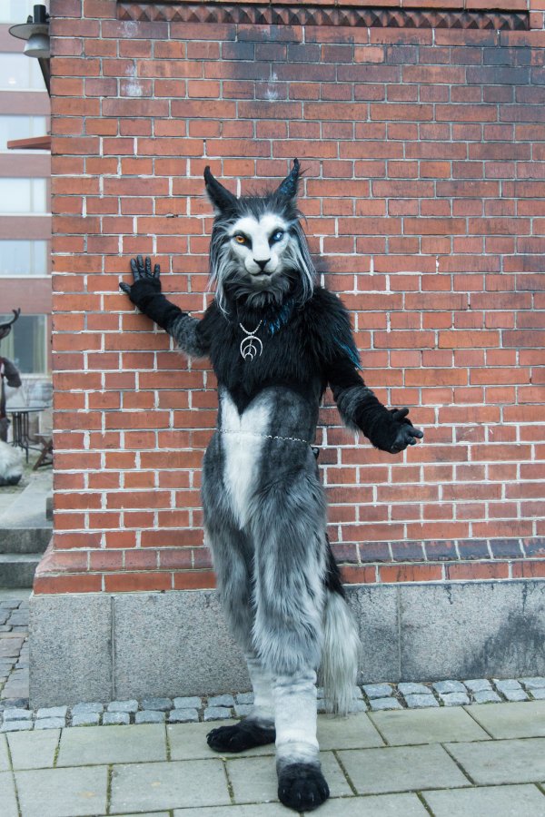 NordicFuzzCon 2025, Photoshoots
