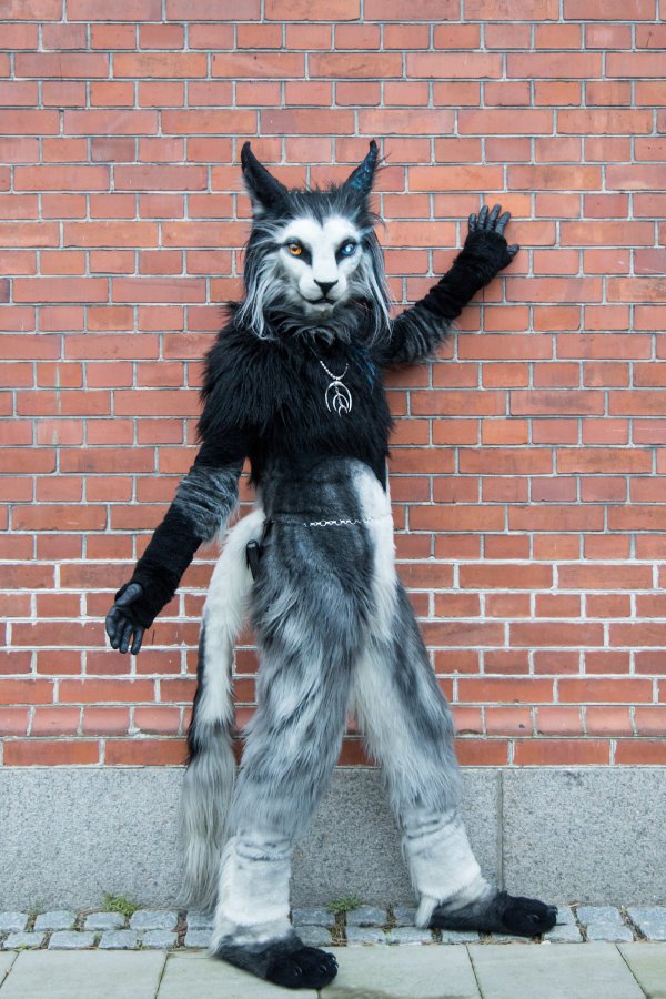 NordicFuzzCon 2025, Photoshoots