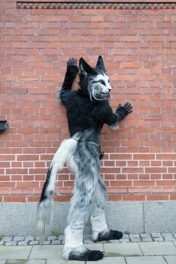 NordicFuzzCon 2025, Photoshoots