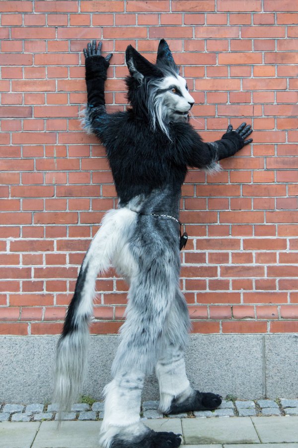 NordicFuzzCon 2025, Photoshoots