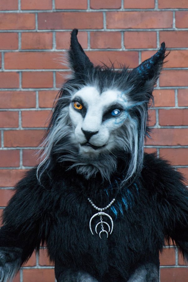 NordicFuzzCon 2025, Photoshoots