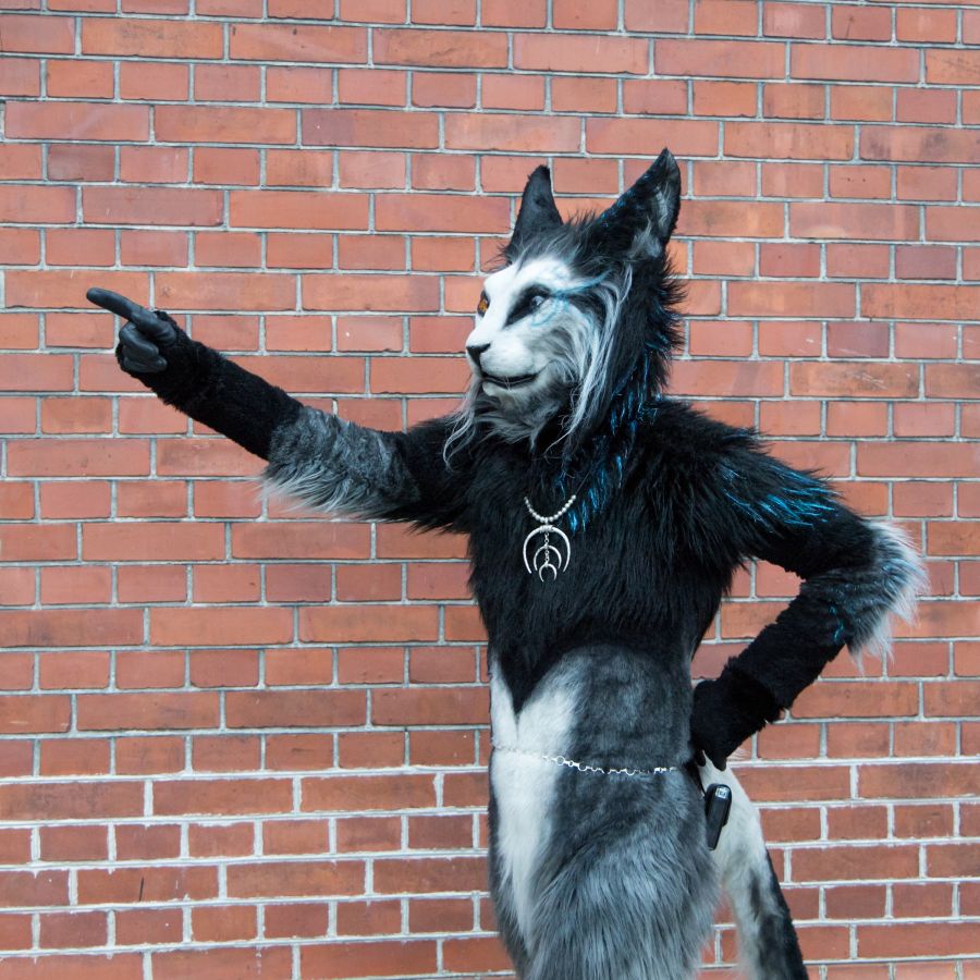 NordicFuzzCon 2025, Photoshoots
