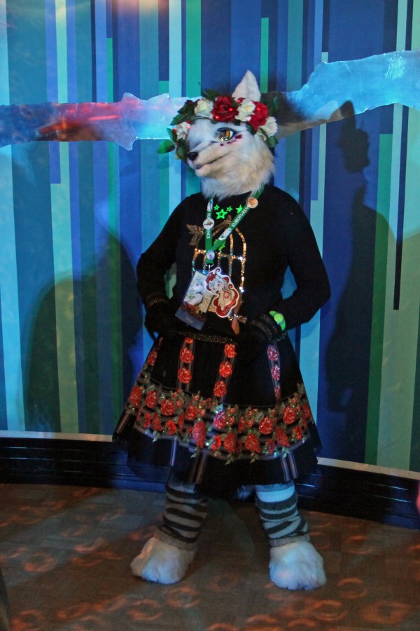 Northern Lights Furdance 2017