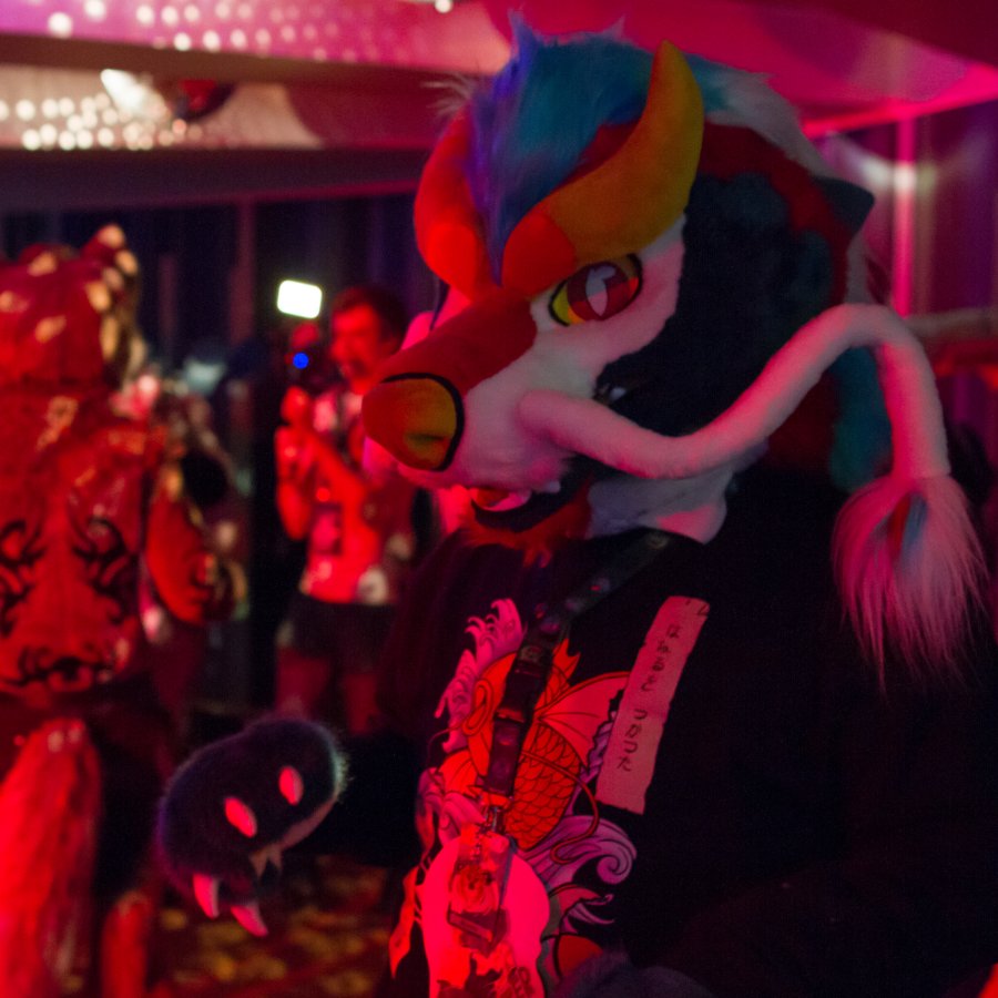 Northern Lights Furdance 2018