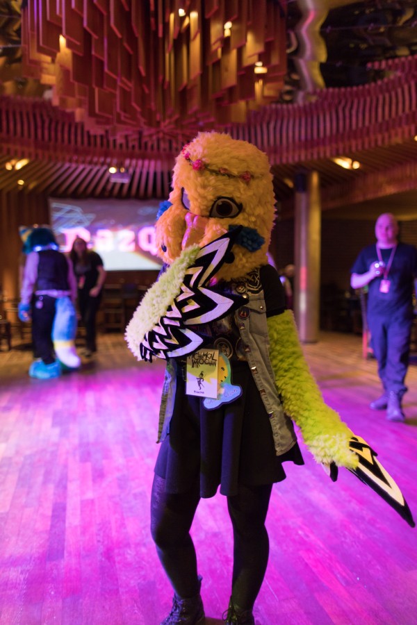 Northern Lights Furdance 2023