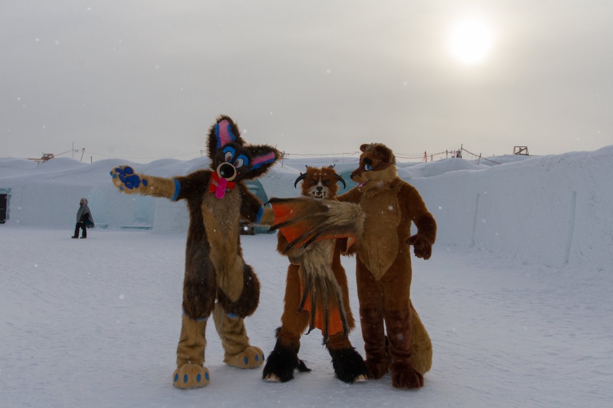 Furry northern Sweden trip, Ice Hotel
