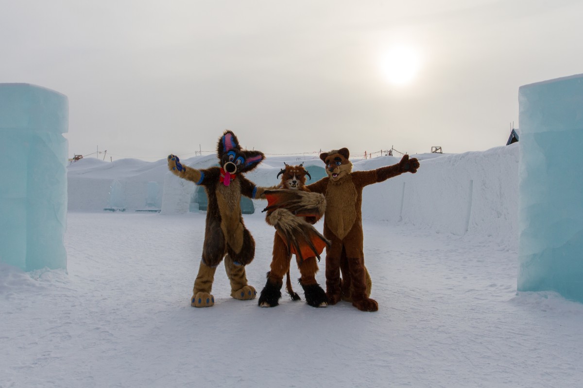 Furry northern Sweden trip, Ice Hotel