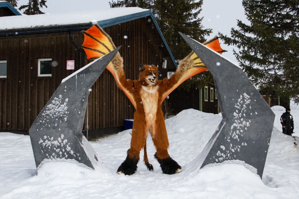 Furry northern Sweden trip, Ice Hotel