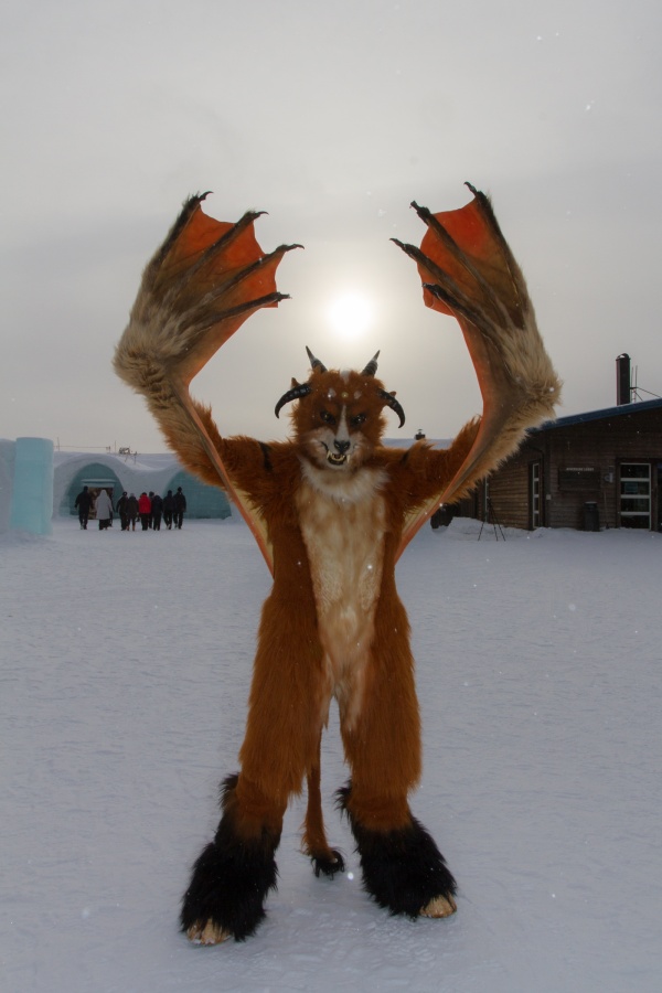 Furry northern Sweden trip, Ice Hotel