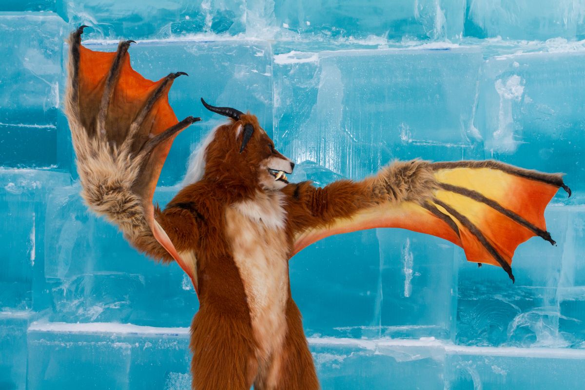 Furry northern Sweden trip, Ice Hotel