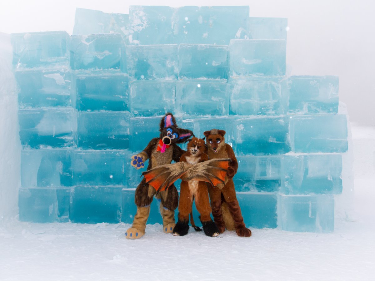 Furry northern Sweden trip, Ice Hotel