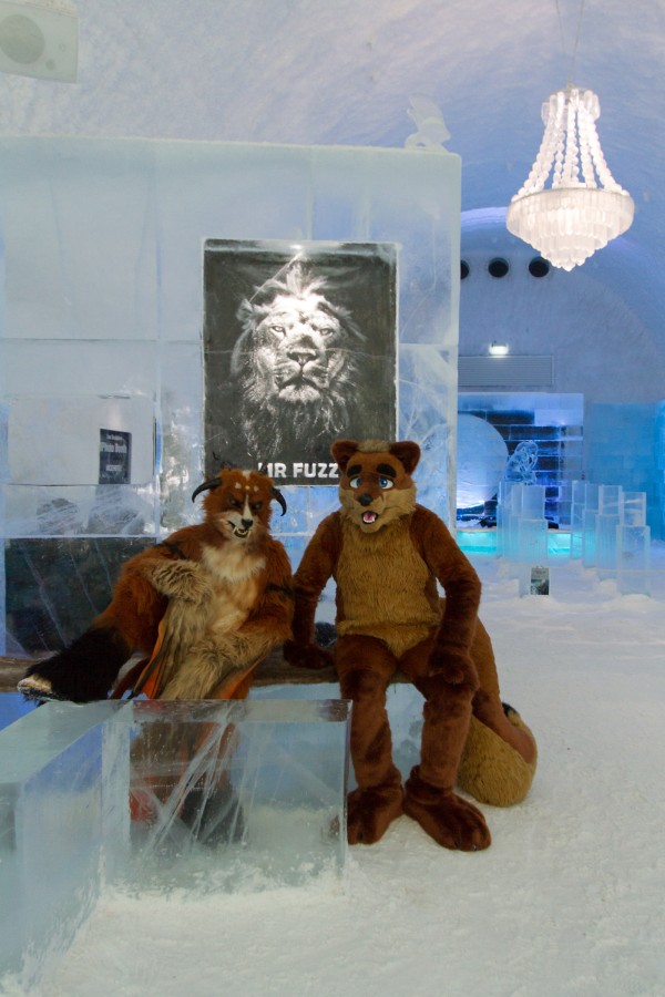 Furry northern Sweden trip, Ice Hotel