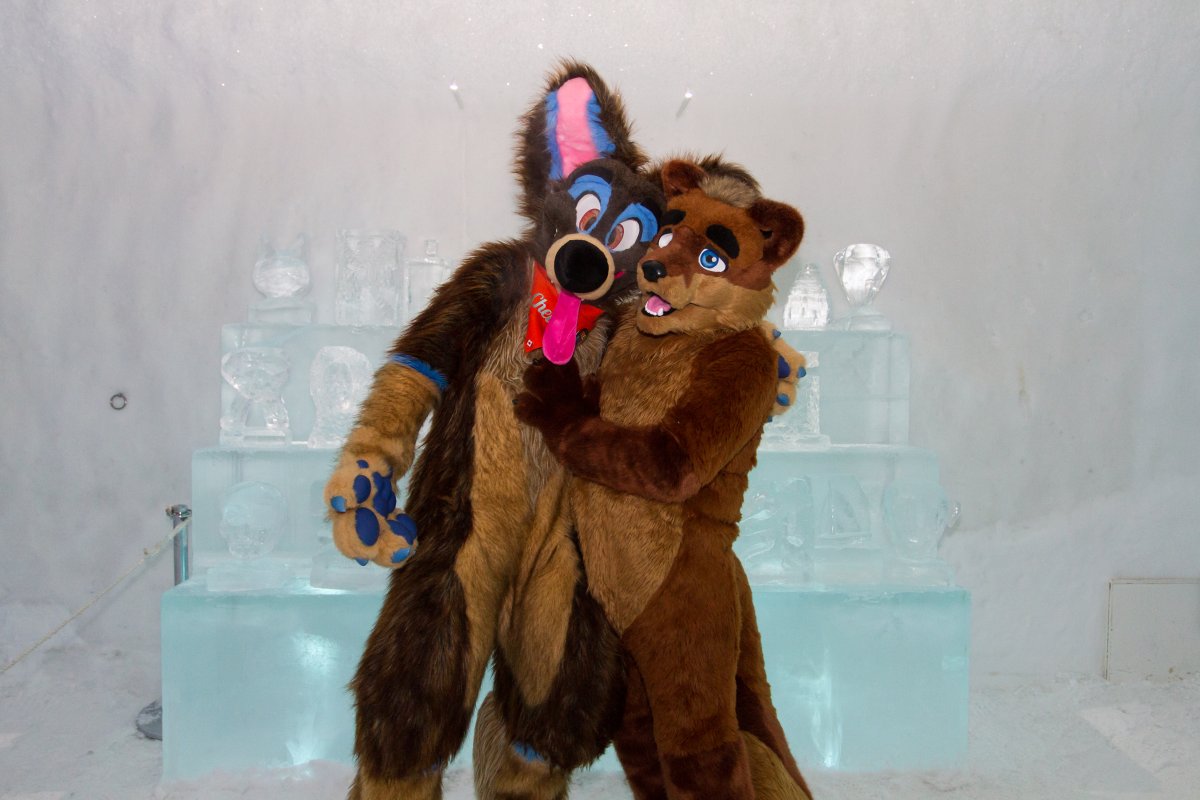Furry northern Sweden trip, Ice Hotel