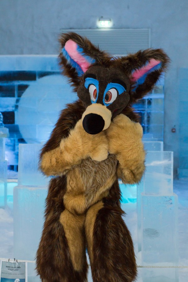 Furry northern Sweden trip, Ice Hotel