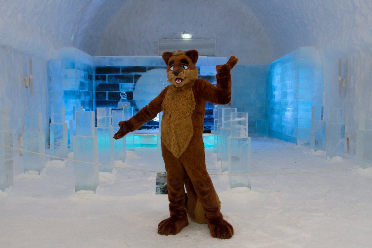 Furry northern Sweden trip, Ice Hotel