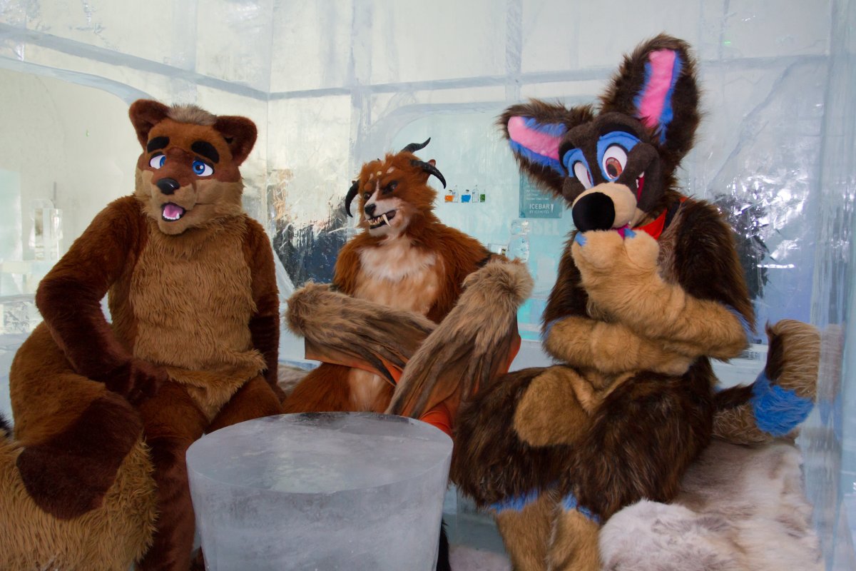 Furry northern Sweden trip, Ice Hotel