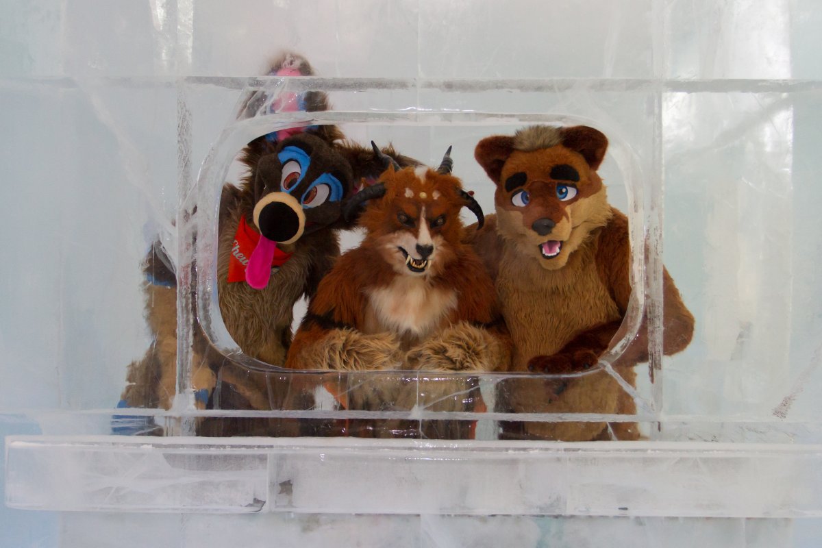 Furry northern Sweden trip, Ice Hotel