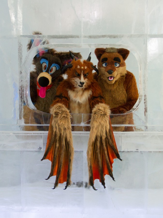 Furry northern Sweden trip, Ice Hotel